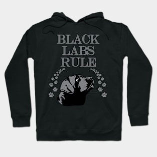 Black Labs Rule! Especially for Labrador Retriever owners! Hoodie